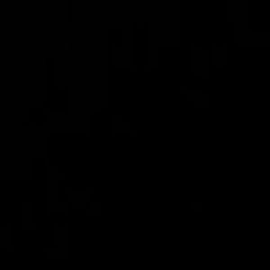 Meet your Posher, Allen